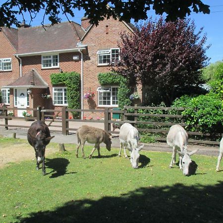 Vila Hops Annex Brockenhurst Exteriér fotografie